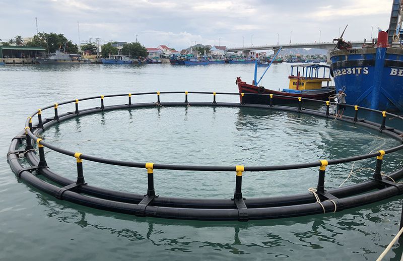 sản phẩm lồng nổi tròn nhựa HDPE nuôi cá