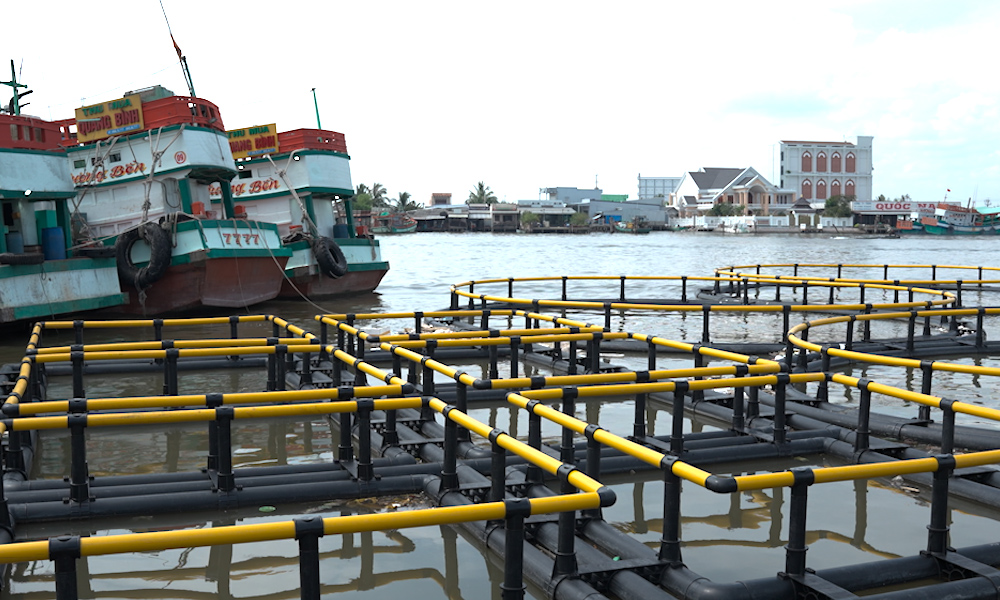 long-hdpe