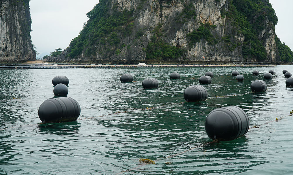 phao-noi-hdpe-2