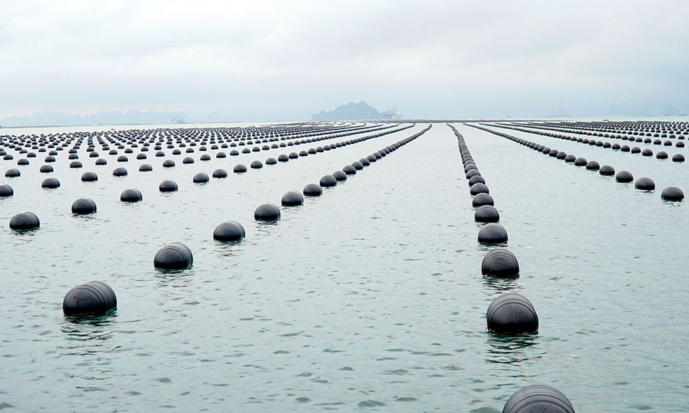 phao-noi-hdpe-7