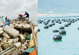 phao-noi-hdpe-8