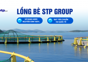 Lồng bè STP Group