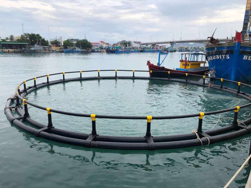 Kĩ thuật nuôi trồng thủy sản